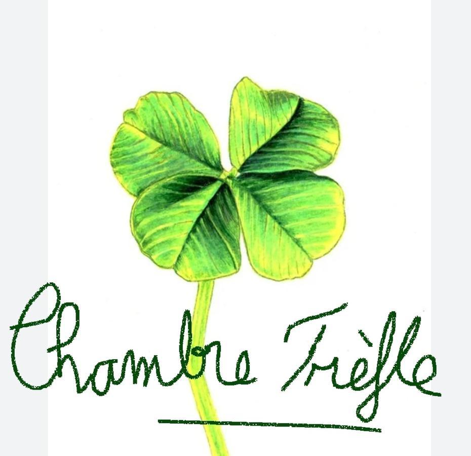 Chambre Trefle Entremont 外观 照片